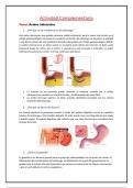 Documentos sobre el tema de la gastritis