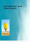ENG1501 Novel - Small Things Analysis.