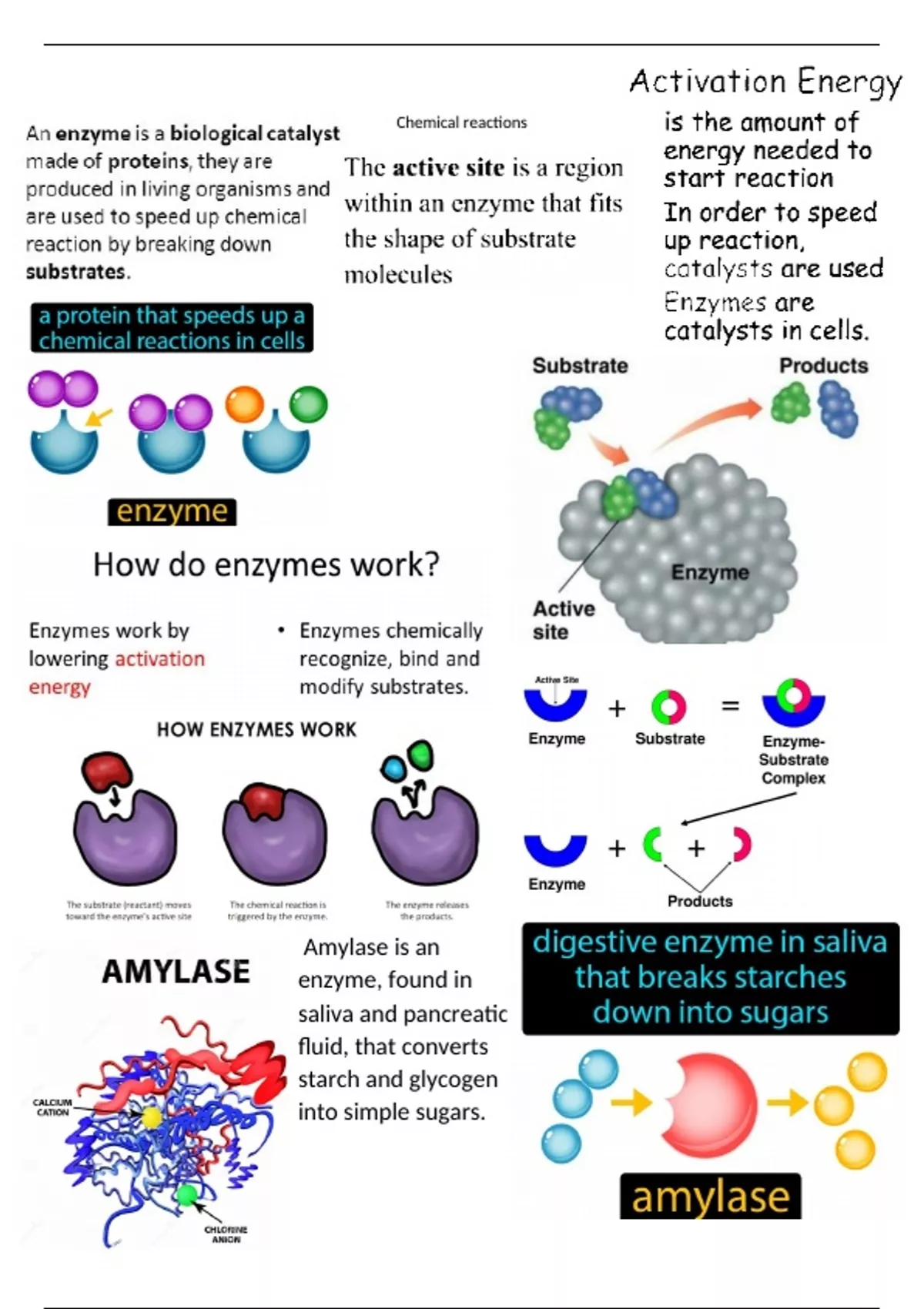 Summary Chemical Reactions Unveiled: Exploring Enzymes, Endothermic ...