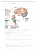 International Baccalaureate (IB) Sports science 7 the brain HL