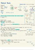 Unit 1 Chemical Bonds Notes- TXST Functional Biology