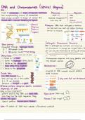 Unit 2 DNA and Chromosomes notes- Bio1330 Texas state