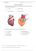 BIO 253 Lab_6_Cardiovascular_System_Anatomy_Key latest Quiz 