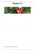 Muziek 3&period;1