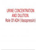 Summary of Urine Concentration and Dilution | Role of ADH(vasopressin)