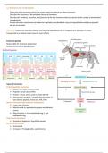 Endocrinology BVETMED1 (D100) Lecture Notes