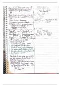 Supplemental class notes for Statistics and chemistry