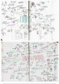 4× Biological molecules mind maps (Carbohydrates,lipids,protiens and neucleic acids)