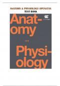 ANATOMY & PHYSIOLOGY OPENSTAX TEST BANK - Q&A &lpar;GRADED A&plus;&rpar; 100&percnt; REVIEWED LATEST 2023