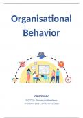 Summary Organisational Behavior