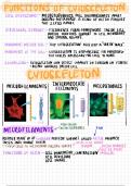 Functions of the cytoskeleton 