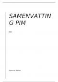 Samenvatting PIM S3&period;1