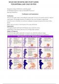NCLEX HESI OB NOTES AND STUDY GUIDES FOR MATERNAL AND CHILD OB PEDS