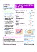 AQA biology topic 8 - DNA , Genes and protein synthesis 