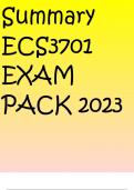 Summary ECS3701 EXAM PACK 2023