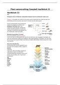 Samenvattingen plant 1 - basis plantkunde