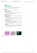 1.1 Introduccion a las celulas Principles of Cell Biology.pdf,