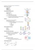 whole summary of medical biochemistry lectures