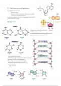 Molecular Genetics&colon; Basics of DNA and Protein Synthesis