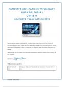 COMPUTER APPLICATIONS TECHNOLOGY PAPER THEORY GRADE 11 NOVEMBER EXAMINATION 2023