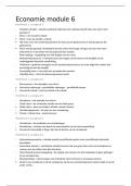 Samenvatting Praktische Economie / module 6 vwo bovenbouw -  Economie