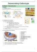 Cursus/samenvatting celbiologie met figuren van pp