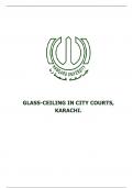 Research Paper - Glass Ceiling in City Courts, Karachi