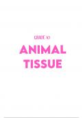 Life Science: Animal Tissue Summary