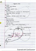 Human anatomy chapters 1-5 notes