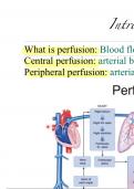  Lecture on Perfusion