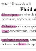 Test review on fluid and electrolyte, sensory, under nutrition and metabolism