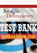 Test Bank For Juvenile Delinquency 10th Edition All Chapters - 9780134558882