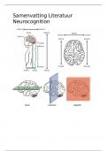 Neurocognition Summary | Literature 2023