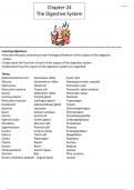 Chapter 24- Digestive system notes