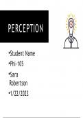 PHI 105 Topic 2 Assignment; Perception Presentation (8-Slides)