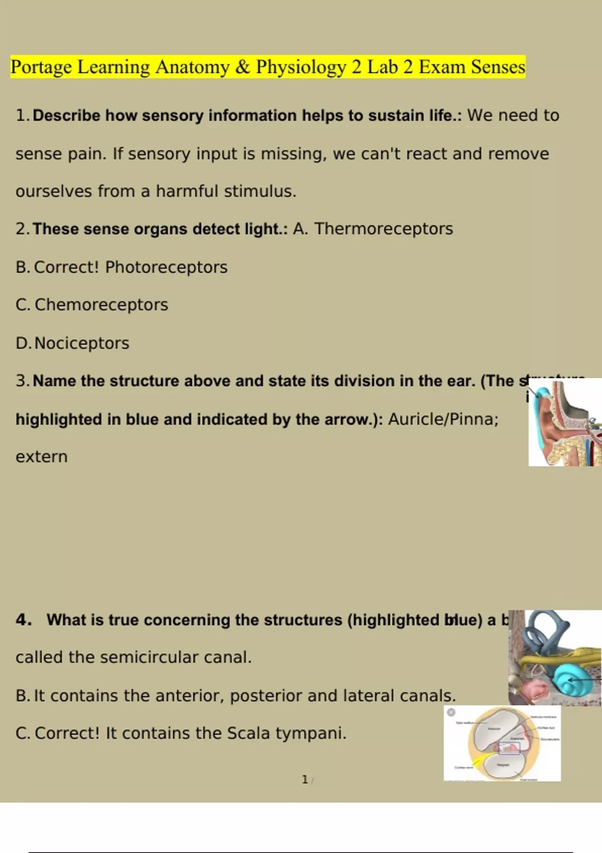 Portage Learning Anatomy & Physiology 2 Module 1-5 BUNDLE Exam UPDATE ...