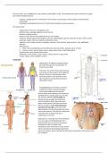 Summary  of Human Anatomy and Physiology (AB_1197) at VU Amsterdam