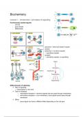 Control of Cellular Processes & Cell Differentiation