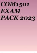 COM1501 EXAM PACK 2023