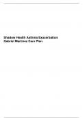 Shadow Health Asthma Exacerbation - Gabriel Martinez Care Plan