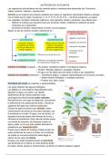 Nutrición en plantas