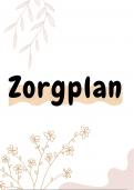 Voorbeeld Zorgplan