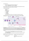 Complete summary of Immunology (AB_1144) at VU Amsterdam