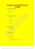 Test bank for anatomy of the respiratory system prep practce questions and answers with rationales