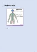 Samenvatting Anatomie en fysiologie - 5e druk. Het zenuwstelsel