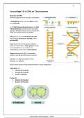 HC 3 & 4: DNA en Chromosomen