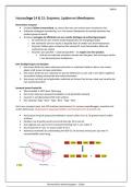HC 14 & 15: Enzymen, Lipiden en Membranen