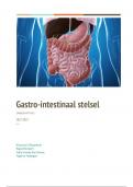 Problemen van het gastro-intestinaal stelsel
