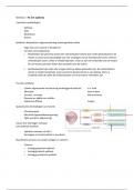 Samenvatting aantekeningen hoorcolleges Weefsels Biomedische wetenschappen