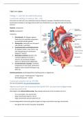Samenvatting Hart en Vaten Orgaansystemen
